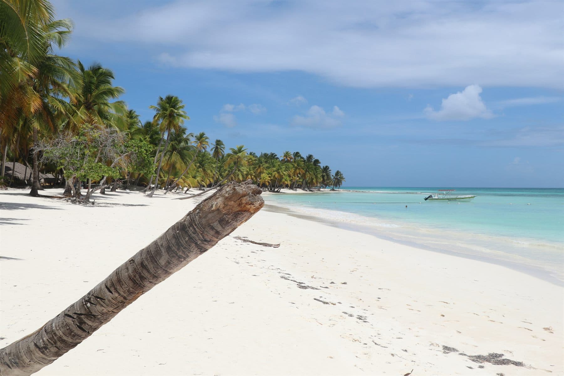 White sand and turquoise water on Saona Island
